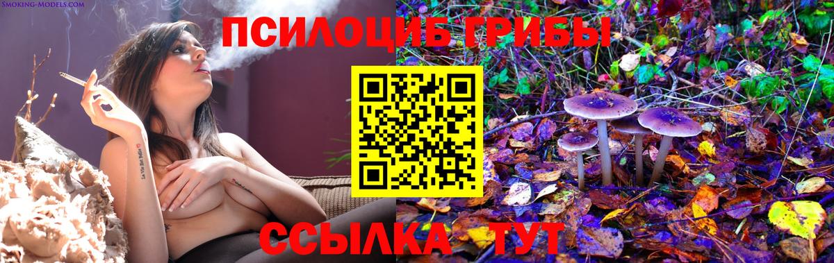 Псилоцибиновые грибы прущие грибы  как найти закладки  Елизово  Вход с VPN 